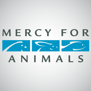 Mercy For Animals
