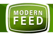 Modern Feed